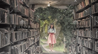 demo-attachment-204-library-3992076_1920