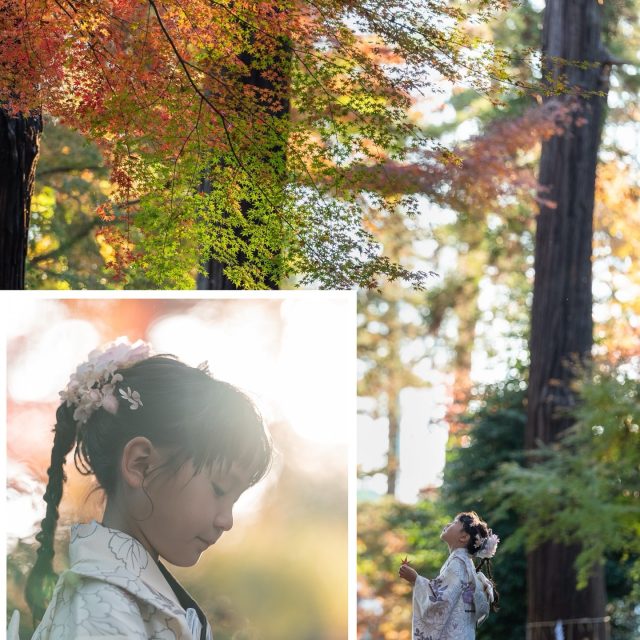 七五三は、7歳の成長を祝う日。
そして同時に、家族で歩んできた時間を感じる日でもあります。
今この瞬間を、全員で楽しんでもらいたい。

特別なポーズじゃなくても
すごくカッコよく決めた写真でもなく、
並んで歩く姿やふとした仕草、笑顔が
今の「家族らしさ」☺️

何年後かに見返した時
この日の空気まで思い出せますように📷✨

ヘアメイク @maki.hairmake 

✼••┈┈••✼••┈┈••✼••┈┈••✼••┈┈••✼

お問い合わせは公式LINEより
▶︎ @studio_carpediem_kashiwa 
プロフィールURLからご登録いただけます

✼••┈┈••✼••┈┈••✼••┈┈••✼••┈┈••✼

#ロケーションフォト #ファミリーフォトスタジオ 
#柏駅近フォトスタジオ #一軒家スタジオ #柏ママ #スタジオ撮影 #柏駅近カメラマン
 #studiocarpediem
#nickyamashita