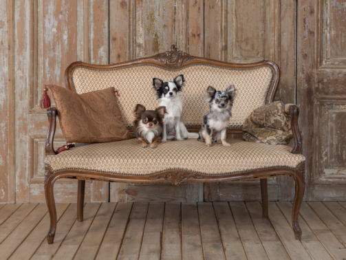 20240327_加部様-43